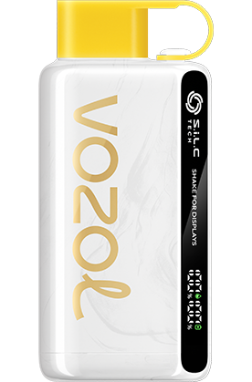VOZOL STAR 12000Puffs Disposable Vape