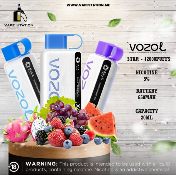 VOZOL STAR 12000Puffs Disposable Vape