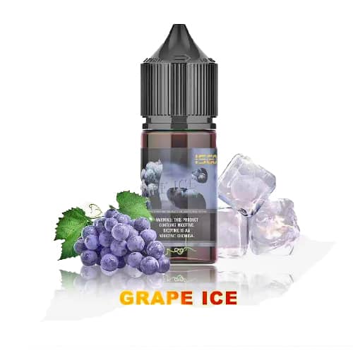 Grape Ice by ISGO (Saltnic)